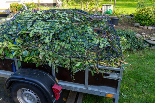 Best Recycling Services for Junk  in Piggott, AR